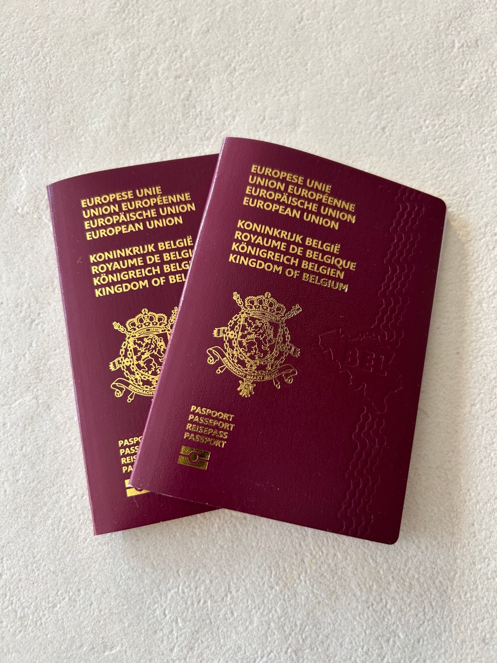 Pré-visit in the&nbsp;UAE